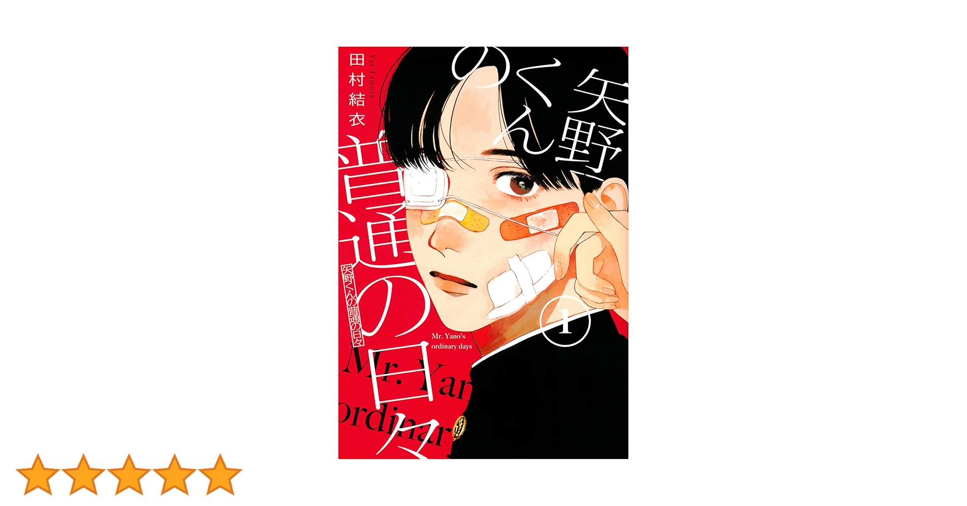 矢野くんの普通の日々(1) (モーニングKC) | 田村 結衣 |本